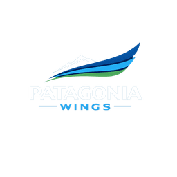 Patagonia Wings
